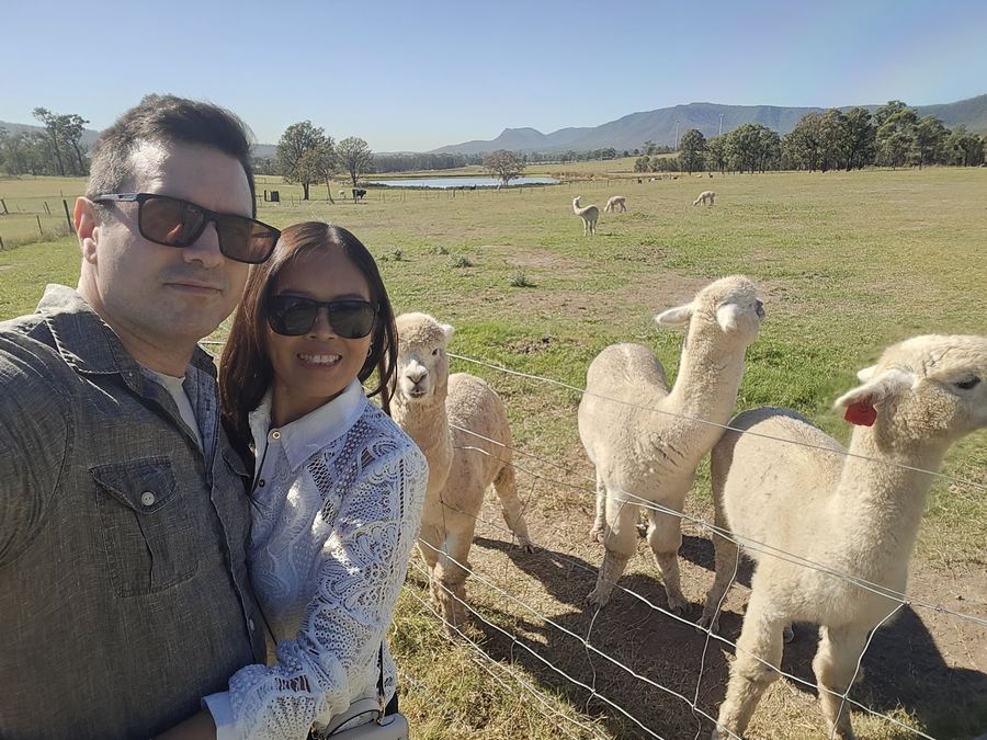 Stefano and Chantelle with alpacas at a farm